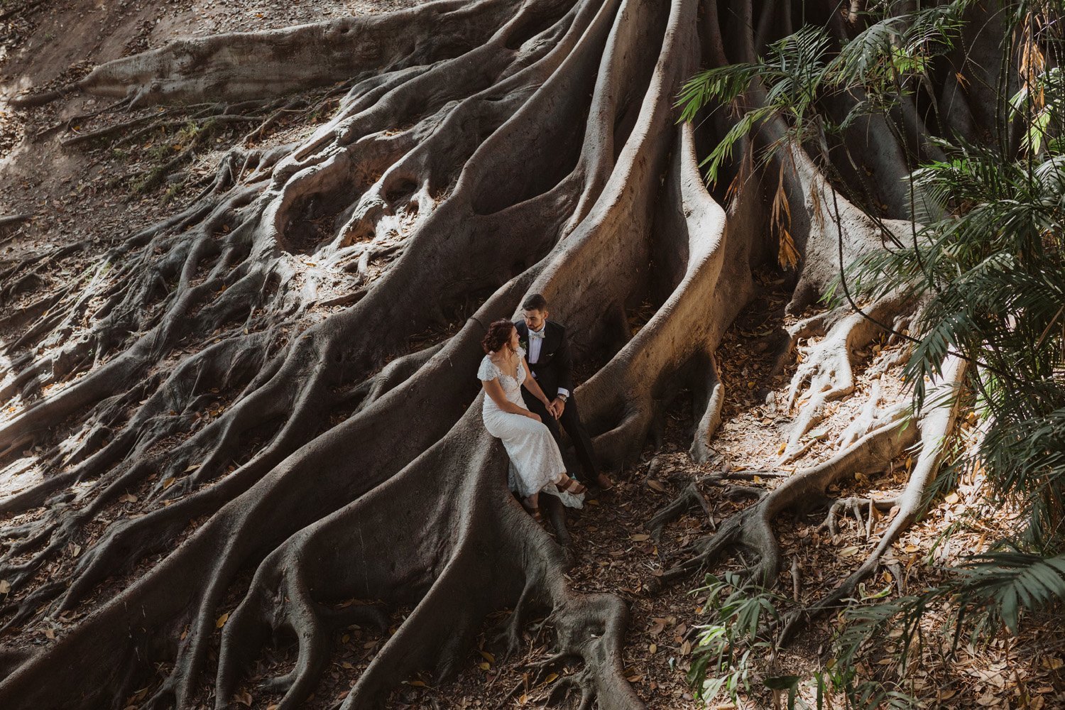 Bride and groom smiling in giant tree trunk at their balboa park elopement