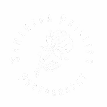 Samantha Phillips Photography